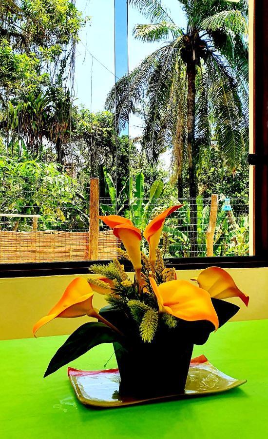 Bela Ipe Pousada Hostel Apart Morro de São Paulo Exteriér fotografie